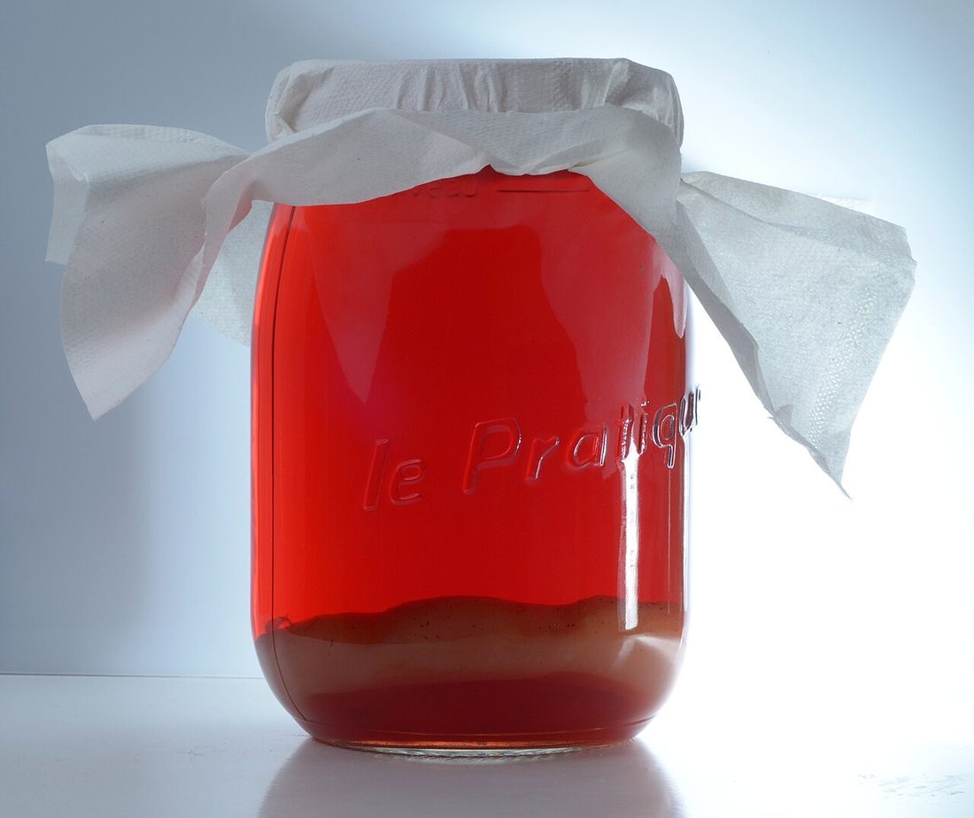 Comprar kombucha en Amazon