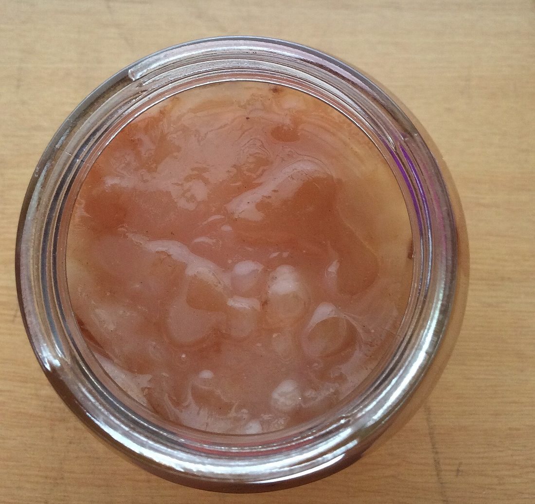 Cómo hacer un SCOBY