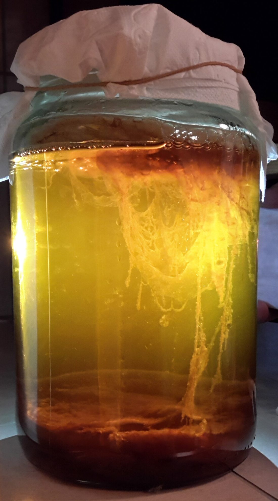 Kombucha de té negro