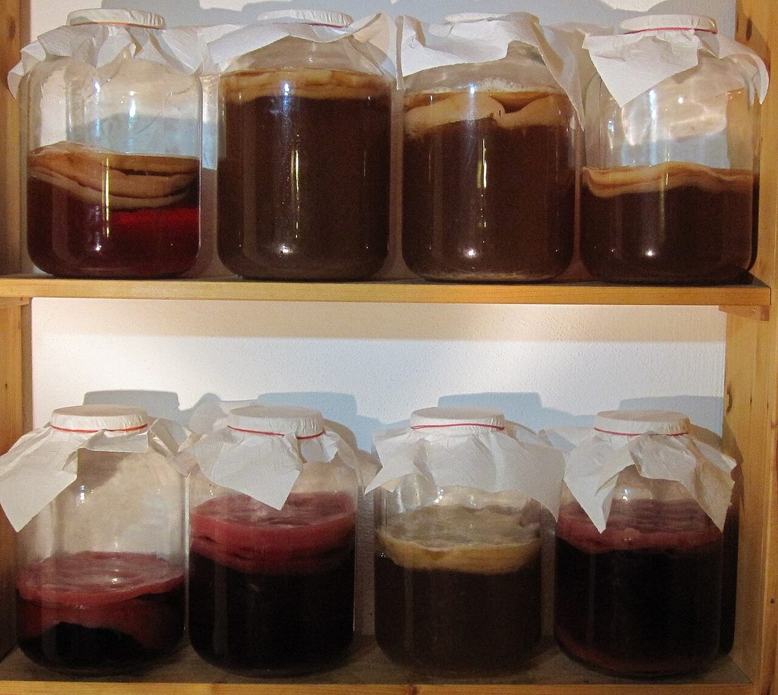Kit para hacer kombucha
