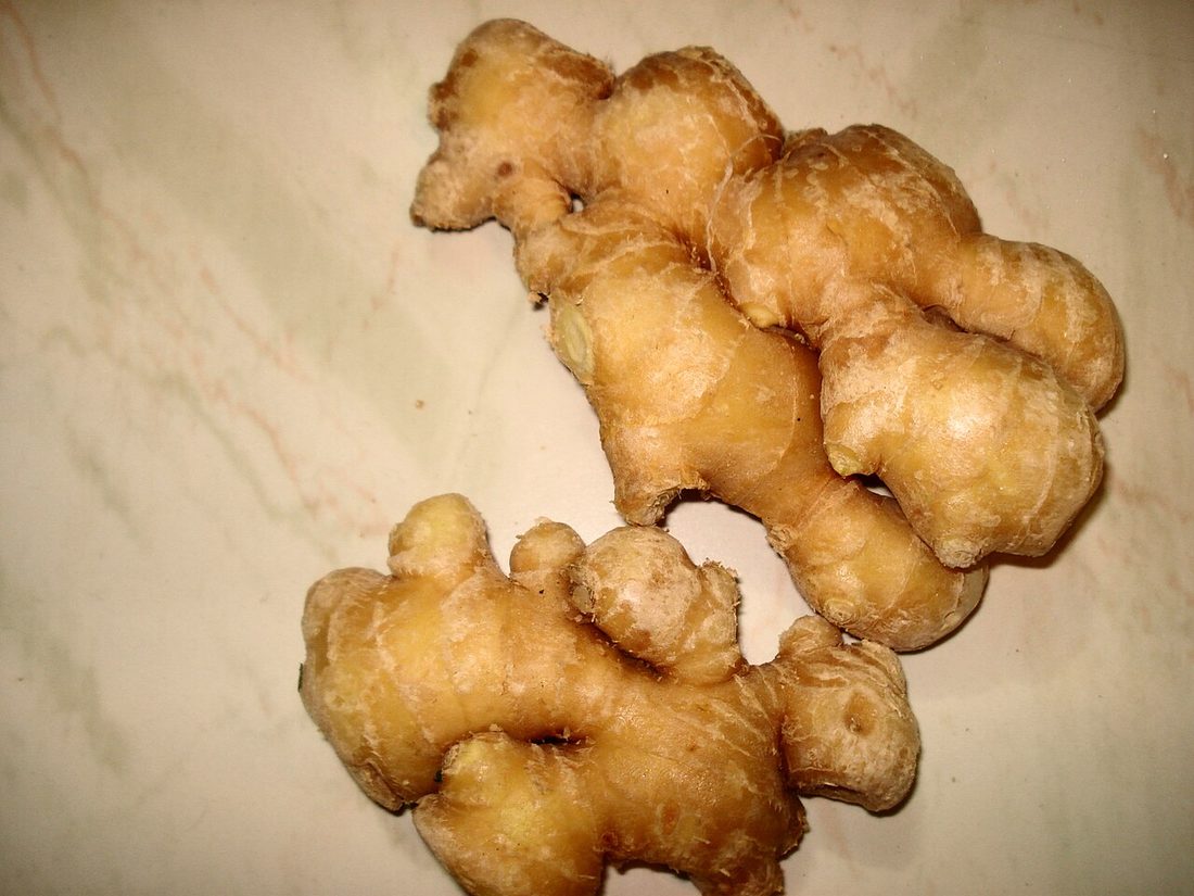 Kombucha de jengibre