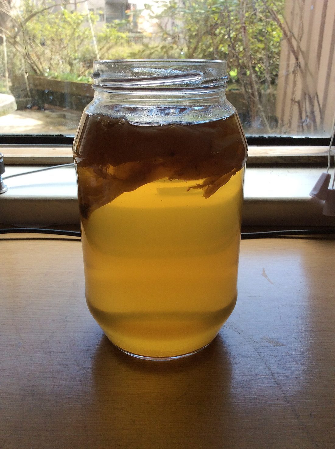 ¿La kombucha engorda?