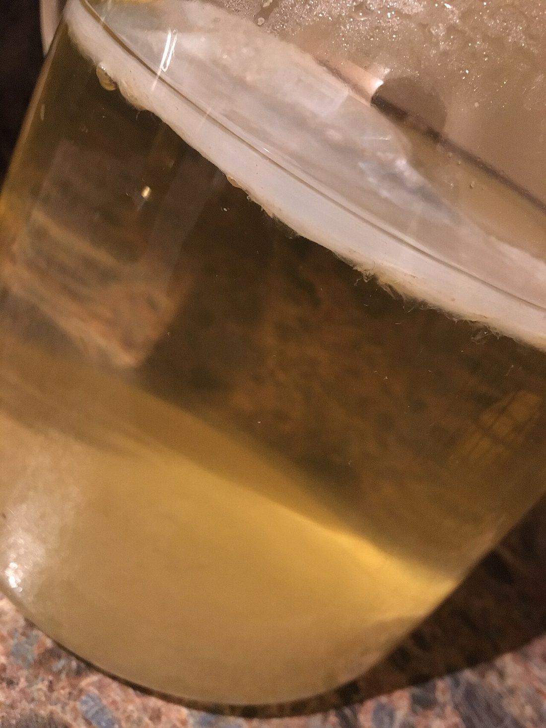 Cómo hacer kombucha casera
