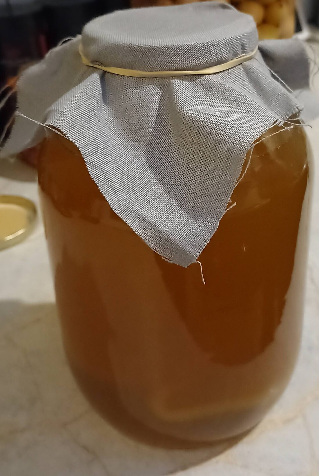 Tarro de kombucha cubierto con una tela transpirable