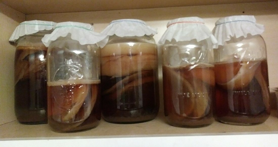 SCOBY online