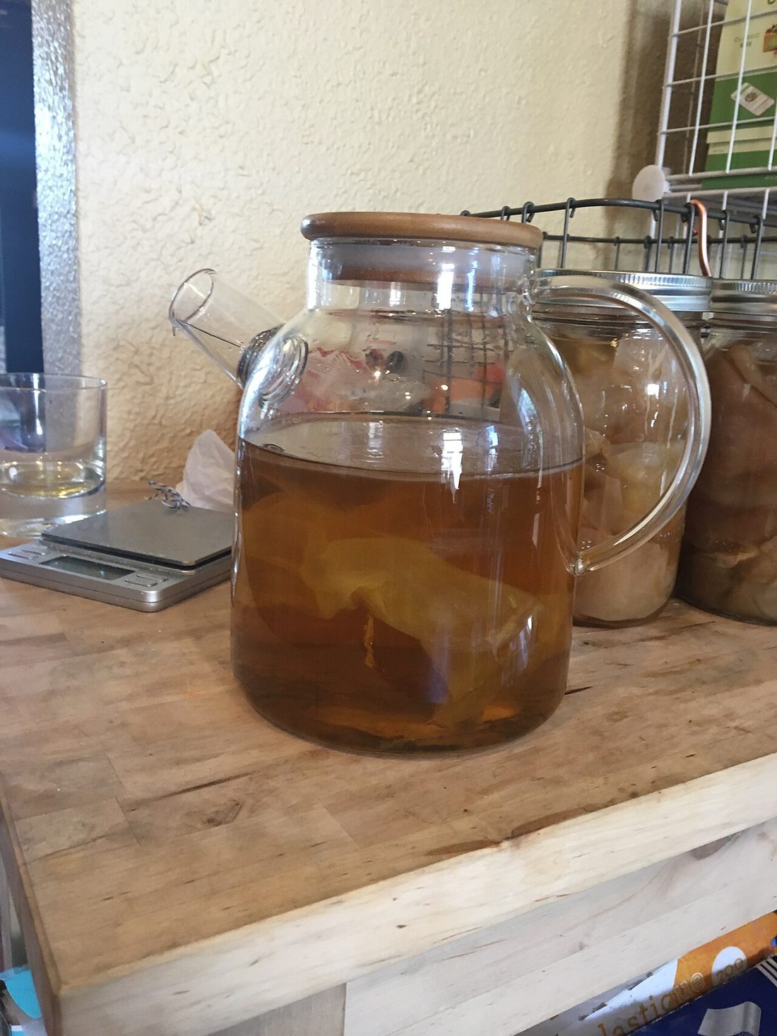 Cómo cuidar y conservar el SCOBY