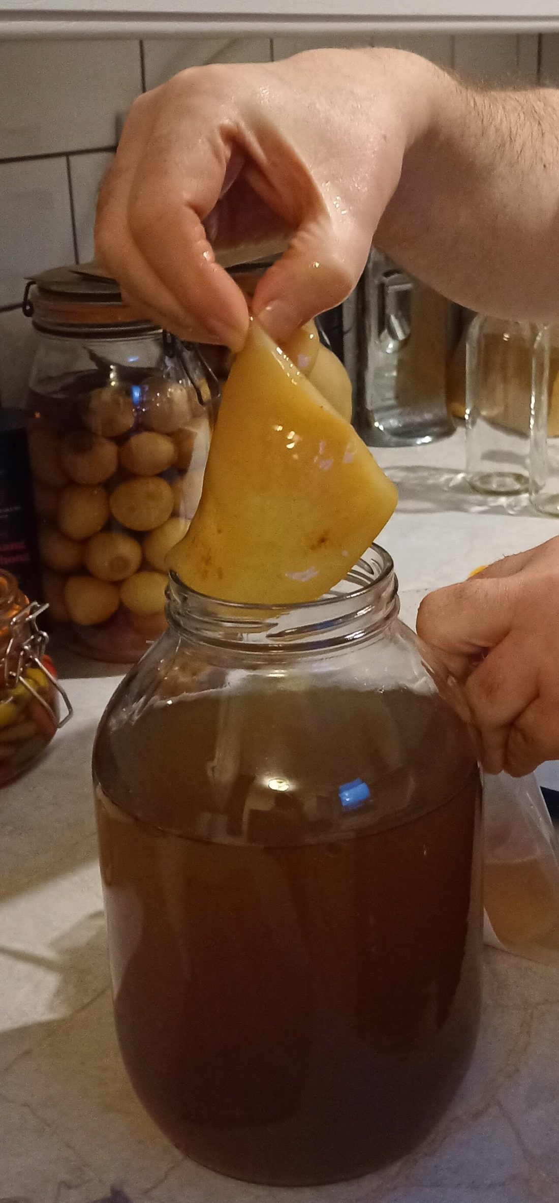¿La kombucha tiene lactosa?