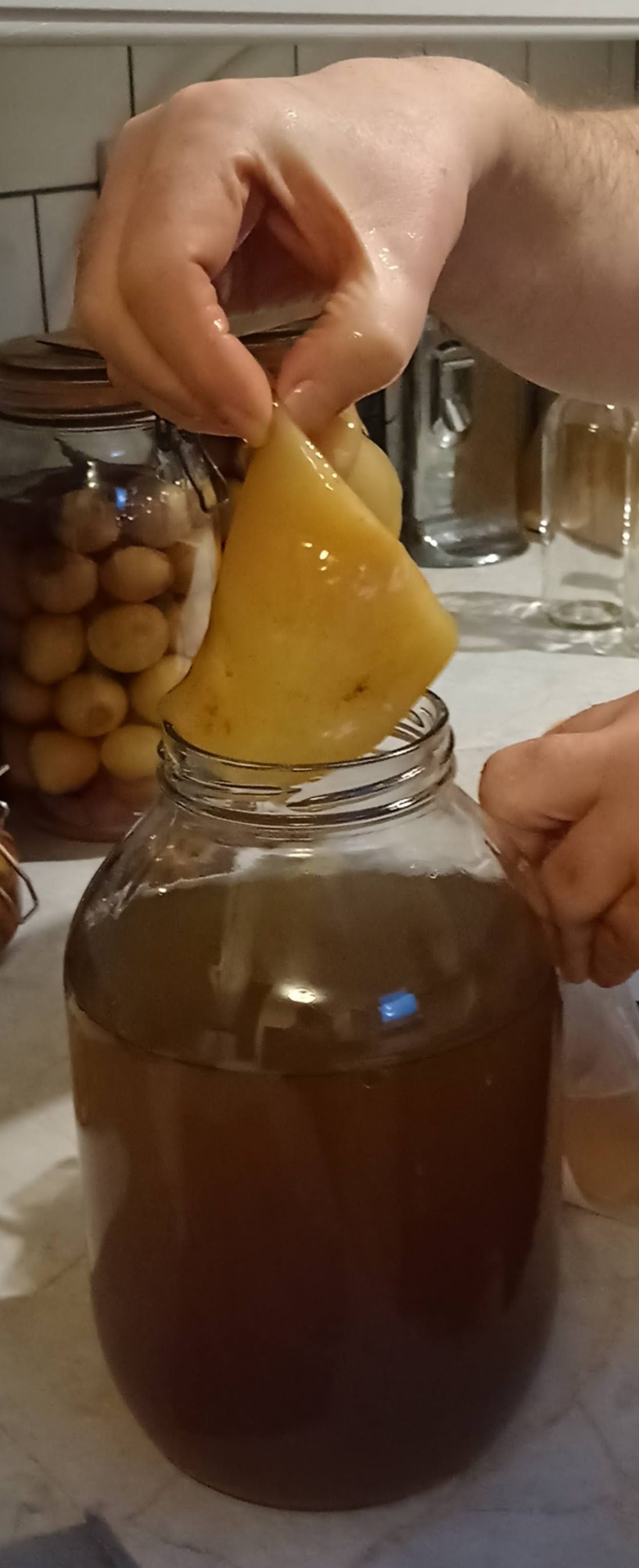 ¿Qué es la kombucha?