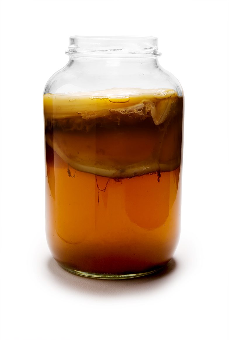 Cómo deshidratar el SCOBY