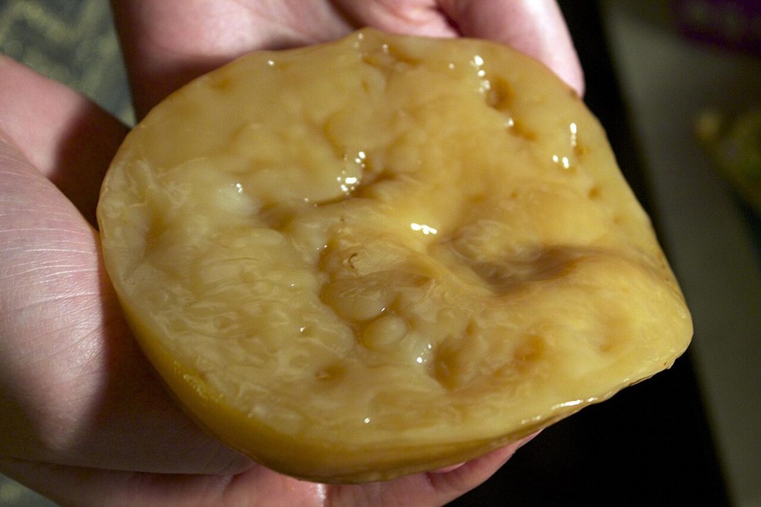 Cómo limpiar el SCOBY y el tarro
