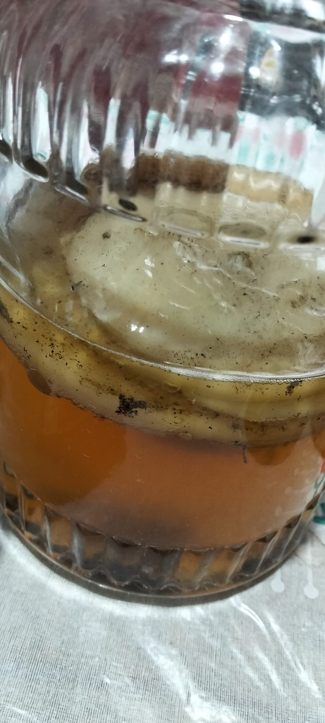 Kombucha para la digestión