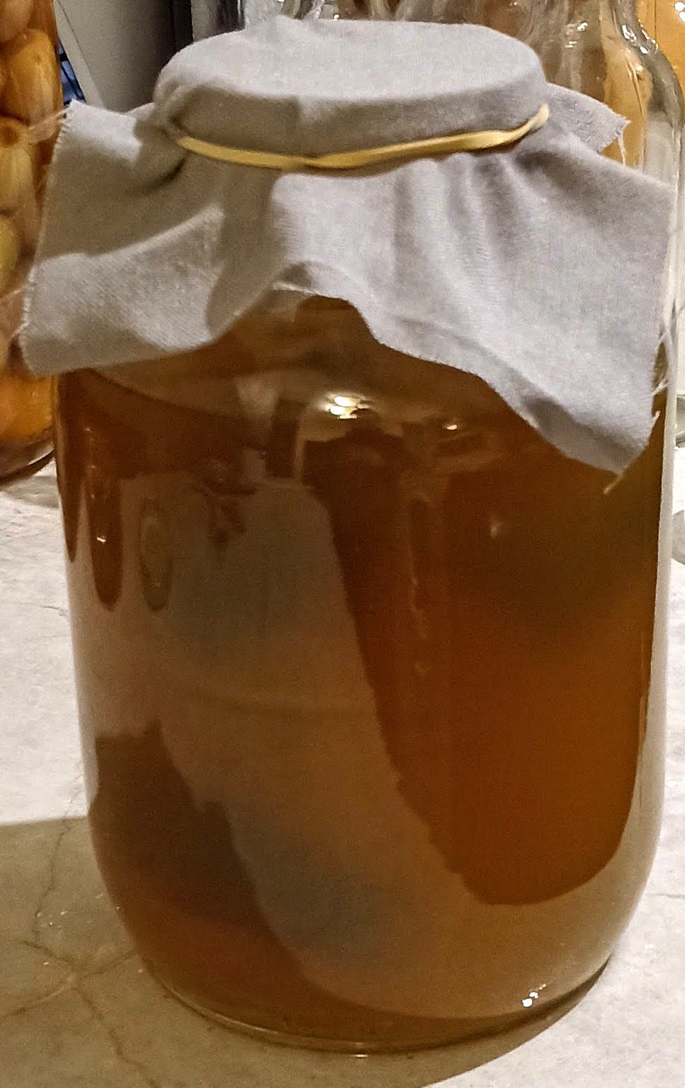 ¿La kombucha tiene cafeína?